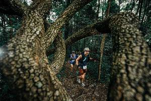 BIB: 
                            <button type="button" onclick="openModal(25393048)" class="btn btn-primary btn-sm float-right btn-popup" data-toggle="modal" data-target=".modal-high-quality">
                        <i class="fas fa-shopping-cart"></i> Add to Cart
                    </button>
                                            <button type="button" onclick="isThisMe(25393048, true)" class="btn btn-success btn-sm float-right btn-popup btn-isme hidden" data-toggle="tooltip" data-placement="bottom" title="นี่คือรูปของคุณใช่ไหม คลิกที่นี่เพื่อเอาเข้าอัลบั้ม">
                        <i class="fas fa-plus"></i> Add to album
                    </button>
                    <button type="button" onclick="isThisMe(25393048, false)" class="btn btn-warning btn-sm float-right btn-popup btn-isnotme hidden">
                        <i class="fas fa-ban"></i> Remove from album
                    </button>